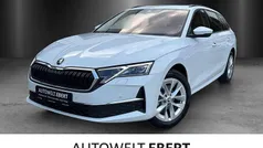 Gebraucht 2024 Skoda Octavia Selection Kombi | 36.890 € (Fairer Preis)