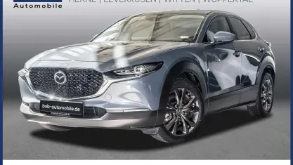 Gebraucht Mazda CX-30 Selection 186 PS (136 kW) 2021 Grau SUV