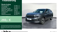 Grau Gebraucht 2024 Skoda Kodiaq Selection SUV | 43.960 € (Guter Preis)