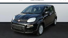 Schwarz Neu 2024 Fiat Panda Kleinwagen | 16.490 € (Fairer Preis)