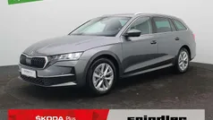 Gebraucht 2025 Skoda Octavia Selection Kombi | 33.980 € (Fairer Preis)
