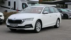 Candyweiss Gebraucht 2024 Skoda Octavia Ambition Kombi | 24.390 € (Guter Preis)