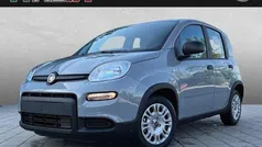Grau Gebraucht 2023 Fiat Panda Kleinwagen | 13.999 € (Fairer Preis)