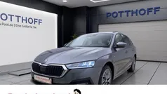 Grau Gebraucht 2023 Skoda Octavia Tour Kombi | 24.222 € (Guter Preis)
