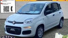 Weiß Neu 2025 Fiat Panda Kleinwagen | 17.490 € (Fairer Preis)