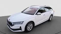 Candyweiss Neu 2024 Skoda Octavia Selection Kombi | 30.740 € (Guter Preis)