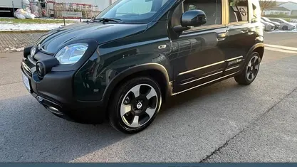 Neu Fiat Panda Cross Cross 65 PS (47 kW) 2026 Grün Kleinwagen