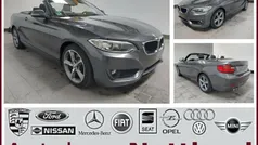 Mineralgrau Gebraucht 2016 BMW 220 Advantage Cabrio | 18.950 € (Fairer Preis)