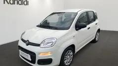 Weiss Neu 2025 Fiat Panda Kleinwagen | 14.490 € (Fairer Preis)