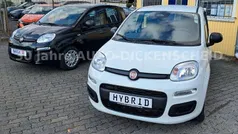 Gelato weiß Neu 2025 Fiat Grande Panda Kleinwagen | 14.490 € (Fairer Preis)