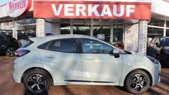 Cactus grey Neu 2025 Ford Puma ST-Line Kleinwagen | 25.390 € (Guter Preis)