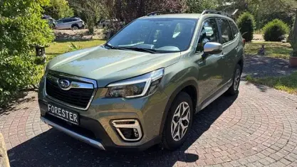 Gebraucht Subaru Forester Trend 150 PS (110 kW) 2020 Grün SUV