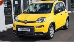 Gelb Gebraucht 2024 Fiat Panda Kleinwagen | 15.195 € (Fairer Preis)
