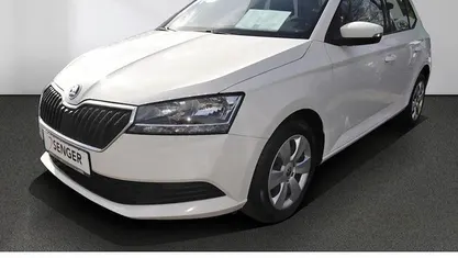 Gebraucht Skoda Fabia Active 60 PS (44 kW) 2020 Candy weiss Kleinwagen