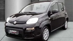 Cinema schwarz Neu 2024 Fiat Panda Kleinwagen | 13.980 € (Guter Preis)