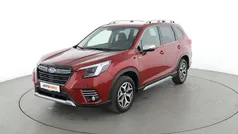 Rot Gebraucht 2023 Subaru Forester SUV | 32.230 € (Fairer Preis)