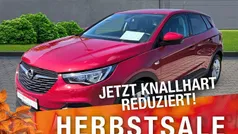 Gebraucht 2018 Opel Grandland X Edition SUV | 11.850 € (Fairer Preis)
