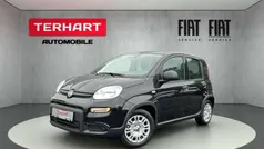 Gebraucht 2024 Fiat Panda Kleinwagen | 15.487 € (Fairer Preis)