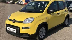 Gelb Gebraucht 2024 Fiat Panda Kleinwagen | 14.589 € (Fairer Preis)
