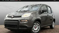 Grau Gebraucht 2023 Fiat Panda Kleinwagen | 13.490 € (Fairer Preis)