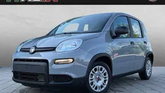 Grau Gebraucht 2023 Fiat Panda Kleinwagen | 14.000 € (Fairer Preis)