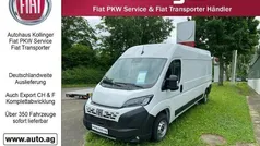 Weiß Neu 2024 Fiat Ducato Van | 32.644 € (Fairer Preis)