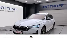 Weiss Gebraucht 2024 Skoda Octavia Selection Kombi | 29.977 € (Fairer Preis)