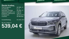 Graphitegrau metallic Gebraucht 2025 Skoda Kodiaq Selection SUV | 45.589 € (Fairer Preis)