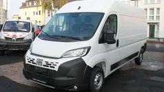 Weiß Neu 2024 Fiat Ducato Van | 32.118 € (Fairer Preis)