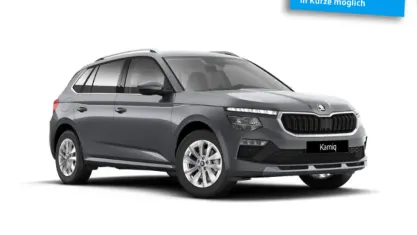 Nowe Skoda Kamiq Selection 116 KM (85 kW) 2026 Szary SUV