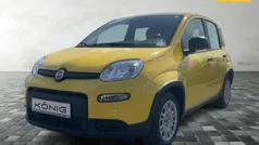 Gelb Gebraucht 2024 Fiat Panda Kleinwagen | 14.889 € (Fairer Preis)