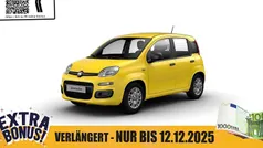 Positano gelb Neu 2025 Fiat Panda S | 13.950 € (Guter Preis)