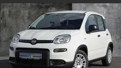 Weiß Gebraucht 2025 Fiat Panda Kleinwagen | 14.990 € (Fairer Preis)
