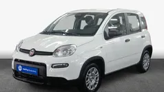 Gelato weiss Neu 2025 Fiat Panda Kleinwagen | 14.998 € (Fairer Preis)