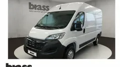 Cassablanca weiß Neu 2024 Opel Movano Van | 30.950 € (Superpreis)