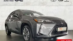Grau Gebraucht 2021 Lexus UX 300e Luxury Line SUV | 32.990 €