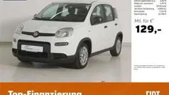 Weiß Gebraucht 2023 Fiat Panda Kleinwagen | 11.980 € (Fairer Preis)