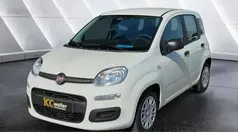 Gelb Gebraucht 2024 Fiat Panda Kleinwagen | 14.595 € (Fairer Preis)