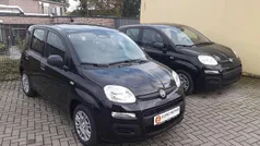 Schwarz Neu 2025 Fiat Panda Kleinwagen | 14.750 € (Fairer Preis)