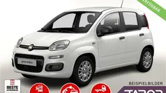 Weiß Neu 2025 Fiat Panda Kleinwagen | 13.748 € (Guter Preis)
