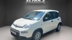 Gelato weiß Neu 2024 Fiat Panda Kleinwagen | 15.490 € (Fairer Preis)