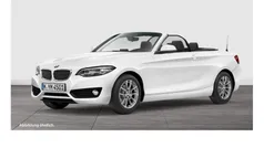 Gebraucht 2019 BMW 218 Advantage Cabrio | 18.999 € (Fairer Preis)
