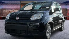 Weiß Neu 2024 Fiat Panda Kleinwagen | 14.290 € (Fairer Preis)