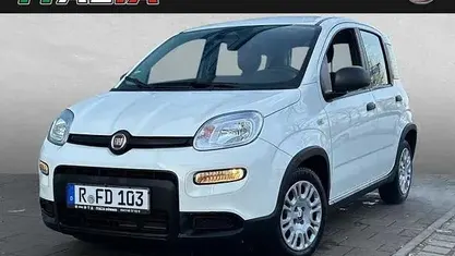 Usata Fiat Panda 70 CV (51 kW) 2024 Bianco Utilitaria