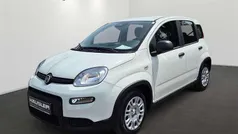 Gelato weiß Gebraucht 2024 Fiat Panda Kleinwagen | 13.990 € (Fairer Preis)
