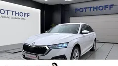 Weiss Gebraucht 2023 Skoda Octavia Style Kombi | 24.997 € (Guter Preis)