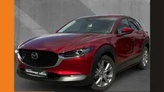 Rot Gebraucht 2024 Mazda CX-30 Center-Line SUV | 26.950 € (Superpreis)