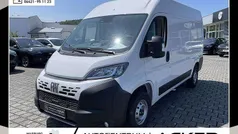 Ducato weiß Neu 2025 Fiat Ducato Van | 30.750 € (Guter Preis)