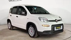 Colore esterno (weiss) Neu 2024 Fiat Panda Kleinwagen | 11.970 € (Superpreis)