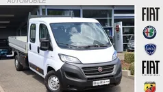 Gelato weiss Gebraucht 2019 Fiat Ducato Van | 24.990 €